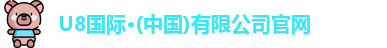 U8国际